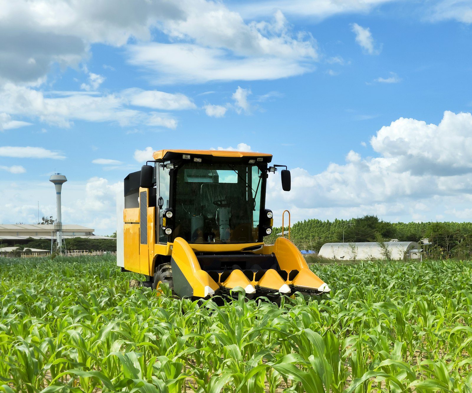 corn combine harvester tractor with robot automatic control grow and harvesting corn field farming.