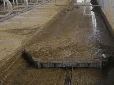 Pajisje per largim te plehut – Manure Scraper KM06037