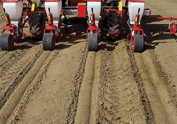 Freze mesrendeve 3 rendore T-SCM 3 MINOS AGRI - Figura 2