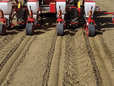 Mbjellëse misri pneumatike MINOS AGRI