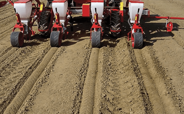 Mbjellëse misri pneumatike MINOS AGRI