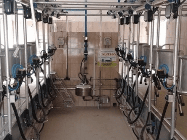 MC200AP Herringbone Milking Parlour with Digital Milk Meter KURTSAN