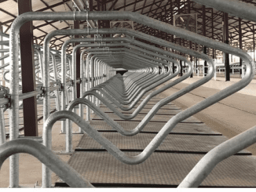 Freestall Free Stall for Cows KURTSAN